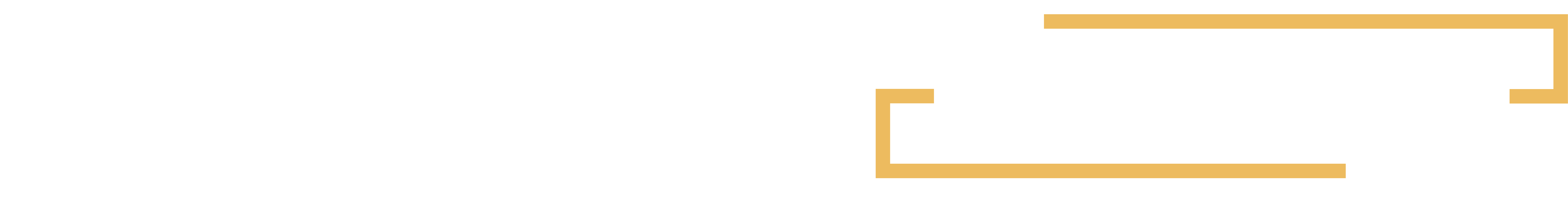 Lauth Investigations International Logo