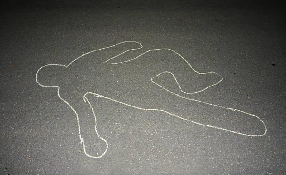 Picture2b The Importance of Private Investigations in Unsolved Cases